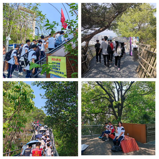 Ѱ�������� ̤��ɫ�㼣 ���ഺ���ĩ���еרҵ��ѧ����չ������ѧʵ���